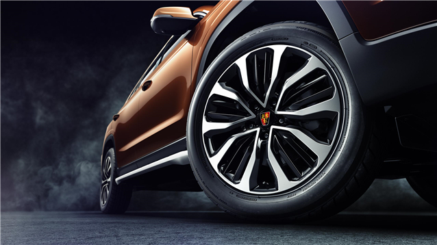 亚洲胜游(中国NO.1)集团有限公司